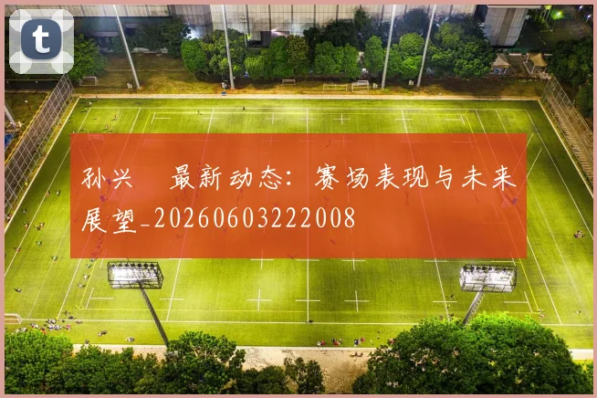 孙兴慜最新动态：赛场表现与未来展望_20260603222008