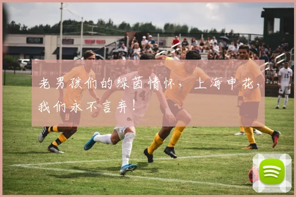 老男孩们的绿茵情怀,上海申花,我们永不言弃!